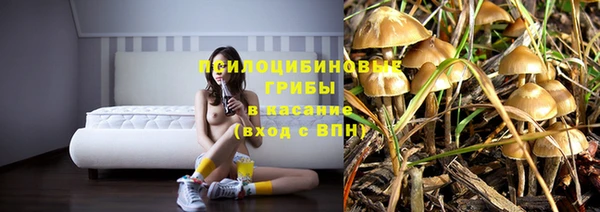 дмт Абдулино