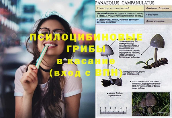 бошки Алзамай
