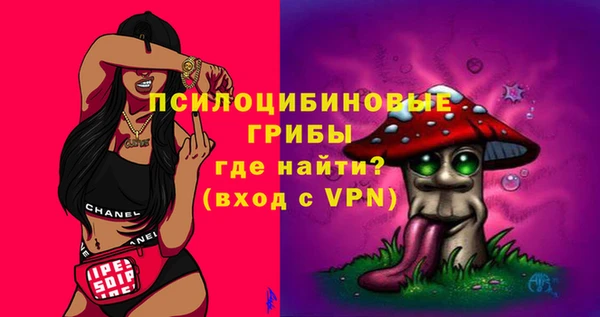 МДПВ Абинск