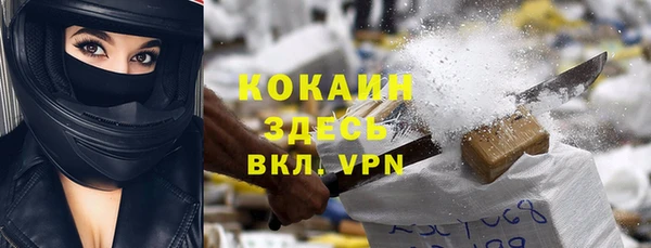 бошки Алзамай